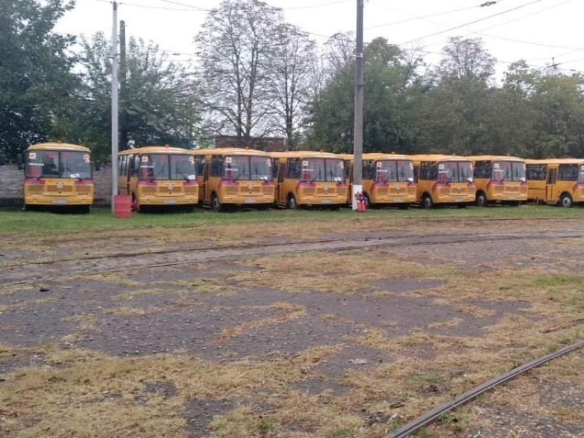 В Краснодаре выделят деньги на закупку 68 школьных автобусов 