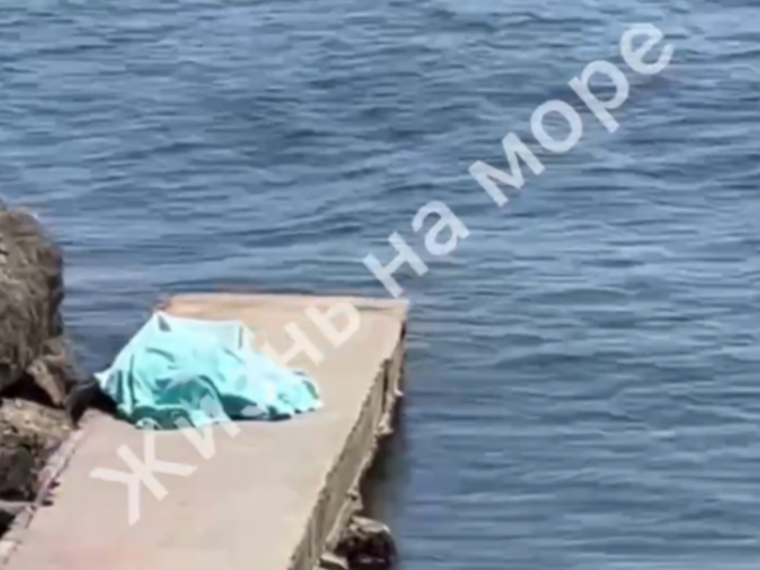 Загадочная гибель туриста во время погружения с аквалангом на Кубани встревожила Бастрыкина