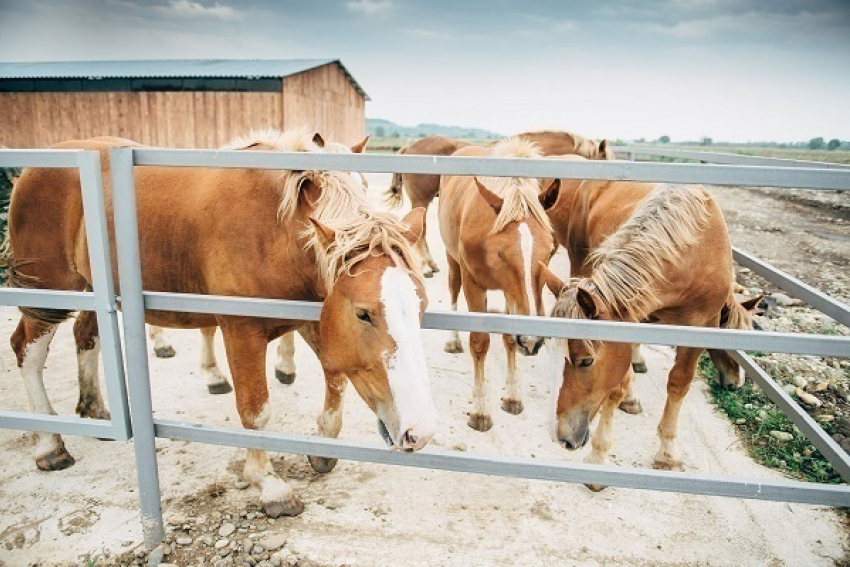 Жителям Лабинского района ограничен выход к воде