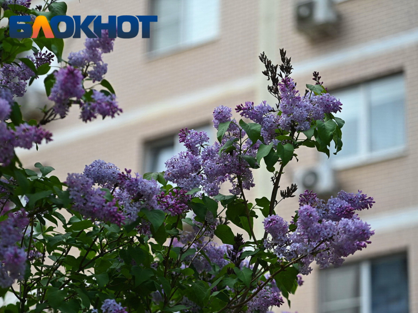 Погода сойдет с ума на майские праздники: что ждет краснодарцев?