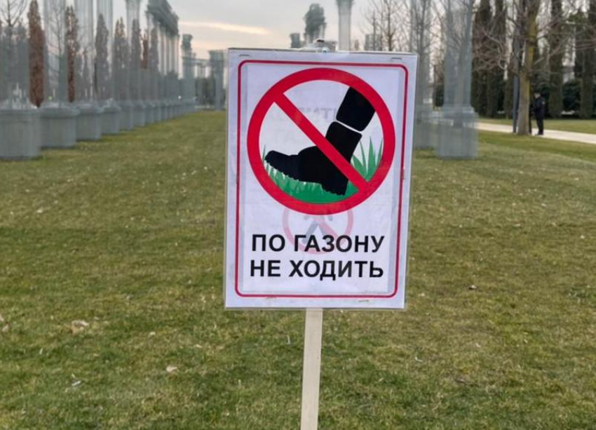 Просто пастбище: в парке «Краснодар» вытоптали газон и погубили нежный шафран 