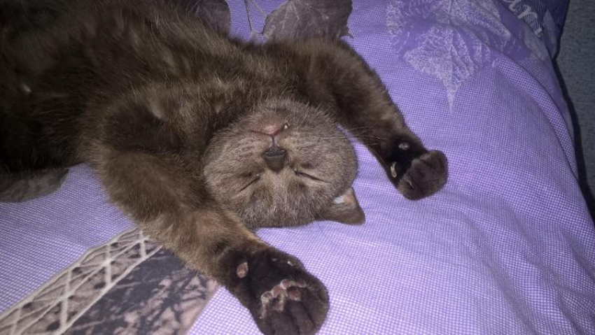 Туманно, но без осадков будет на Кубани