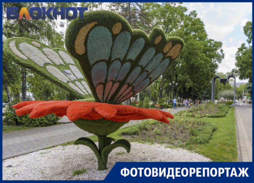 Городской сад: рядом с историей, посреди природы и тишины, на территории развлечений и в центре Краснодара