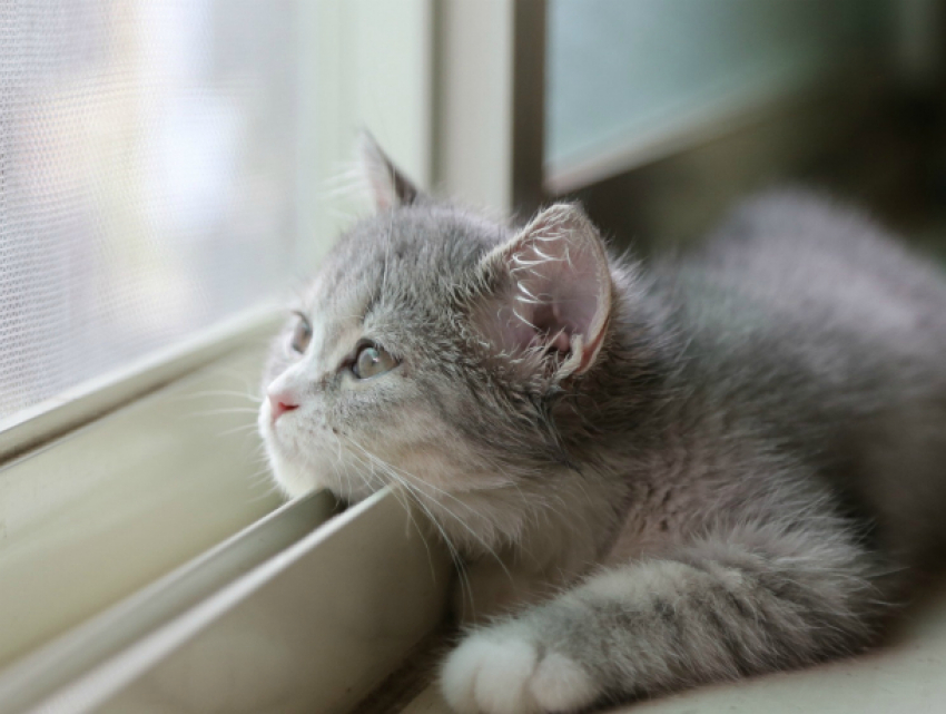 Вторник побалует Кубань теплой и безветренной погодой