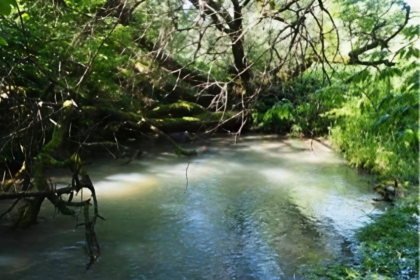 На Кубани создали новую особо охраняемую природную территорию