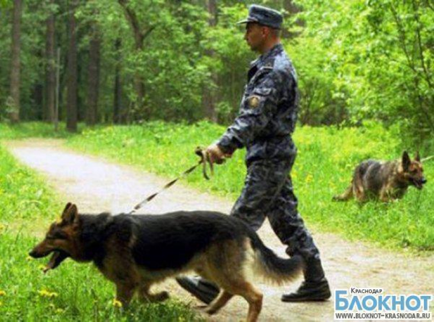 В Успенском районе нашли заблудившегося в лесу пенсионера