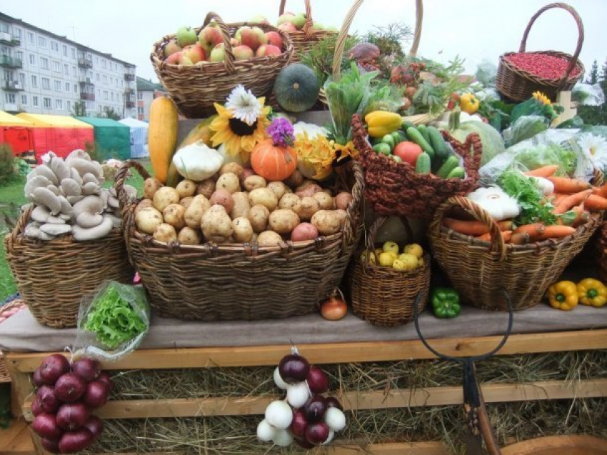  На Кубань вернулись ярмарки выходного дня 