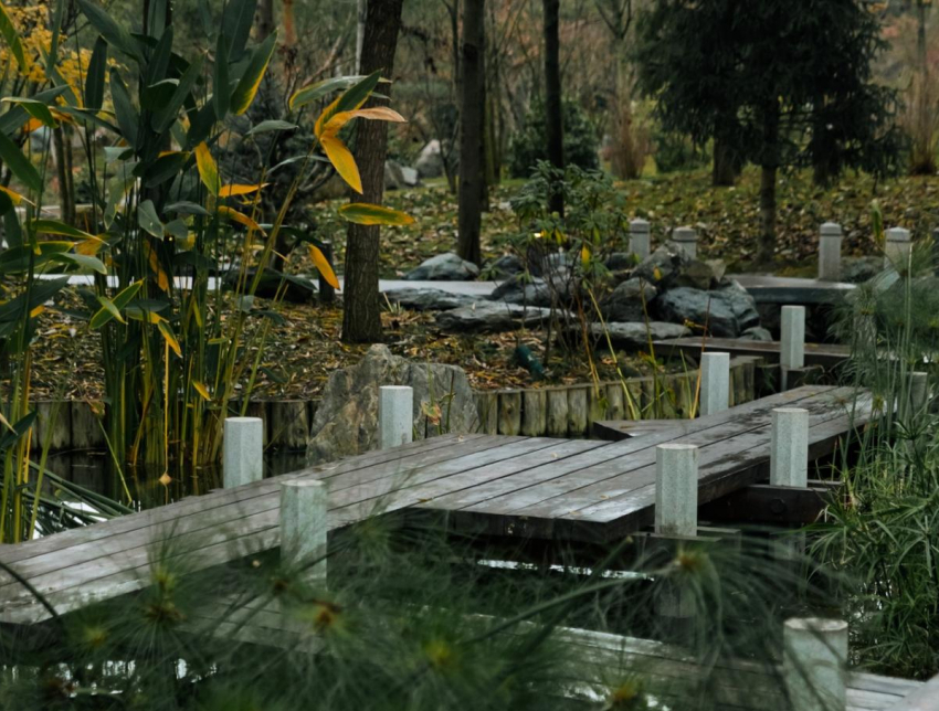 Солнце вновь скроется за облаками в Краснодаре