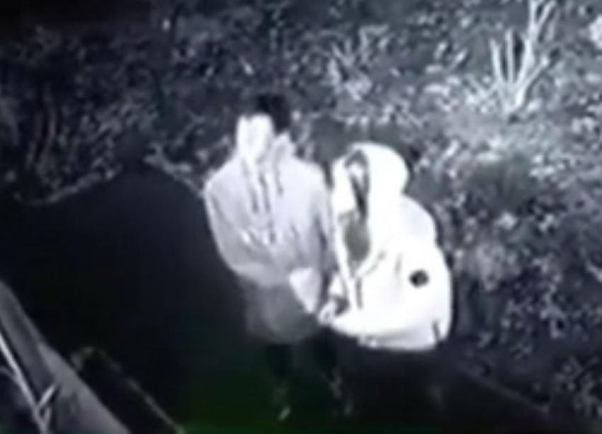 Странные «цветокрады» ломятся в квартиру в Краснодаре