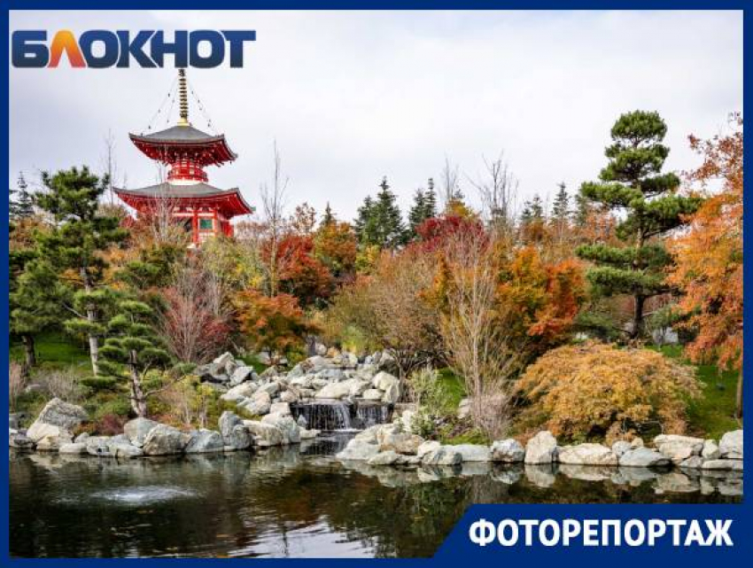 Без очередей и толп туристов: Японский сад парка Галицкого проводил первую осень яркими красками
