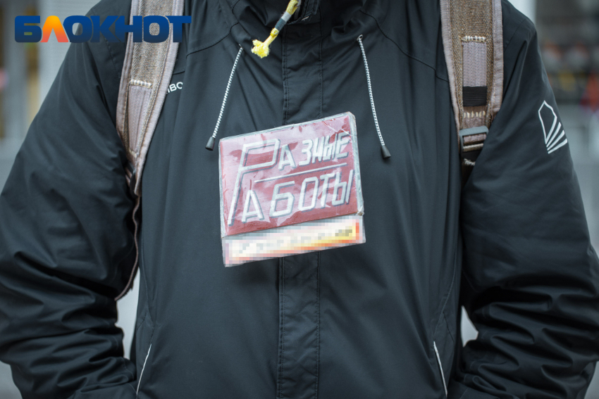 Всегда нужны водители: востребованные профессии и численность безработных раскрыли на Кубани 