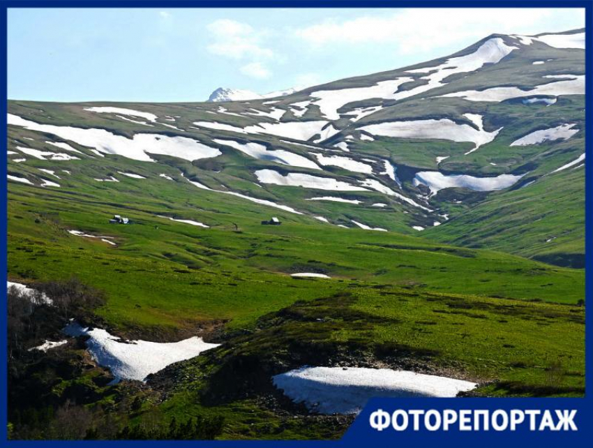 Альпийские луга в 3 часах езды от Краснодара: показываем прогулку по плато Лаго-Наки