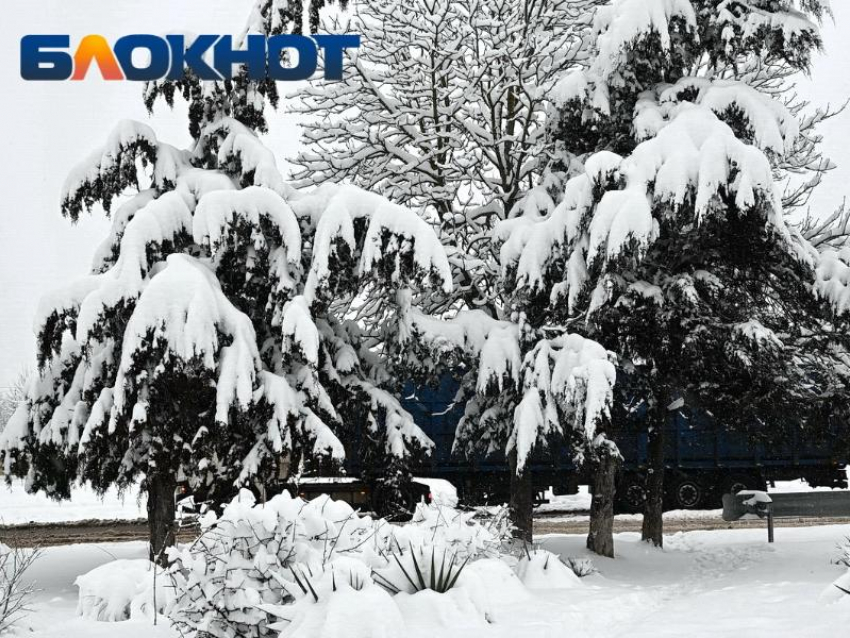 Снегопад, метель и гололед: мощный погодный «апокалипсис» надвигается на Кубань 