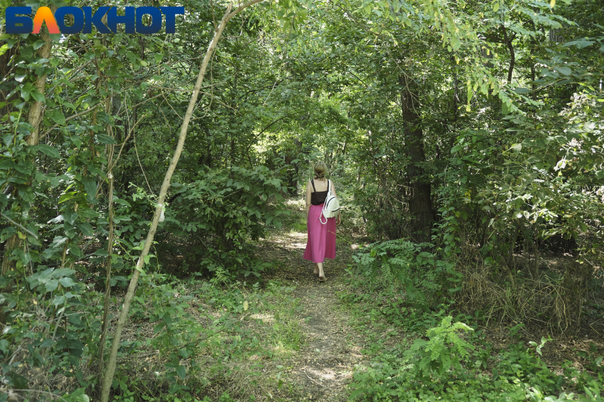 В Краснодаре «Берегокубанский лес» станет особо охраняемой территорией отдыха