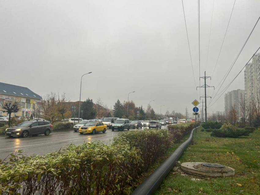 Пасмурный и холодный день ожидается в Краснодаре