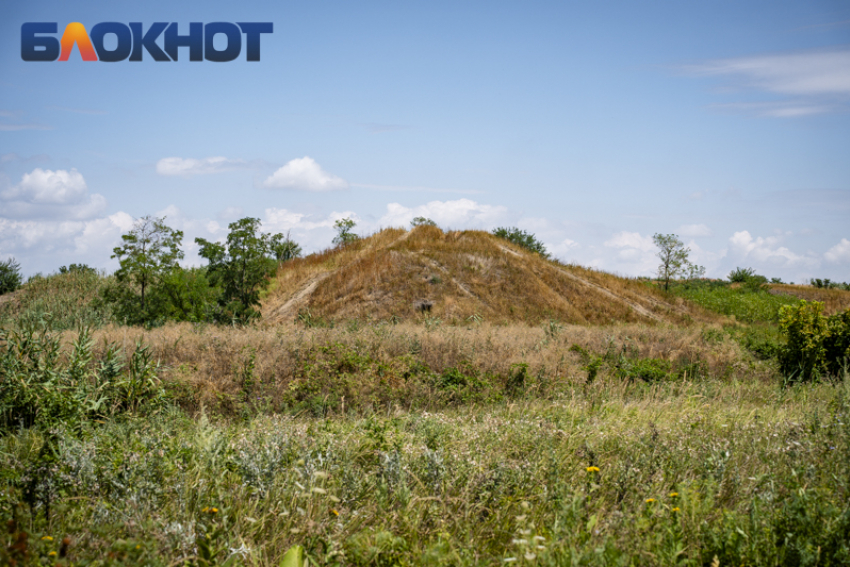 В Краснодарском крае клещи покусали почти 4 тысячи человек 