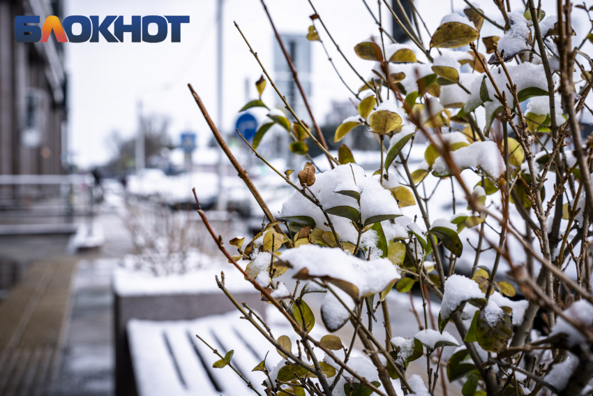 В Краснодар медленно идет потепление 