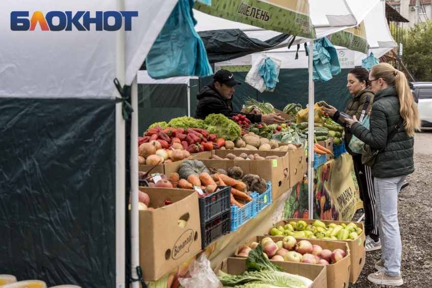 Стало известно, как менялась стоимость выживания в Краснодарском крае за год