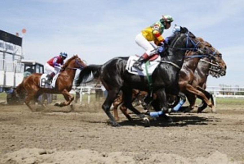 В Краснодаре разыграли «Большой краснодарский приз Дерби»