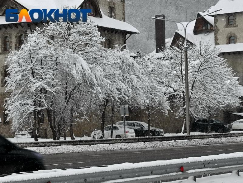 Метель, гололед и ветер: погода решила дать «жару» перед Новым годом на Кубани 