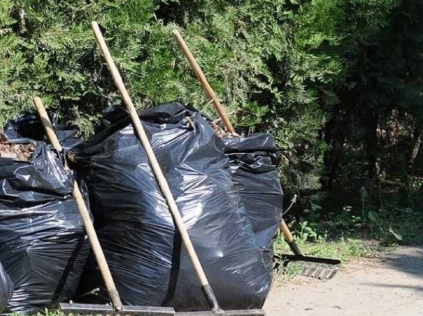 ﻿В Краснодаре 15 сентября пройдет массовый субботник