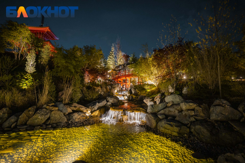 Проект освещения Японского сада в парке «Краснодар» стал победителем Евразийской премии «Золотой Фотон»