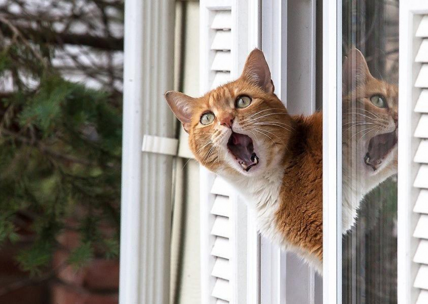 Дождались: температура воздуха на Кубани становится ниже