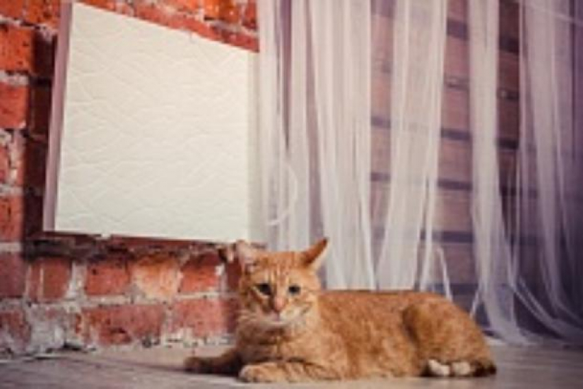 Даже не «буржуйка», а целая русская печь! - «ТеплЭко»