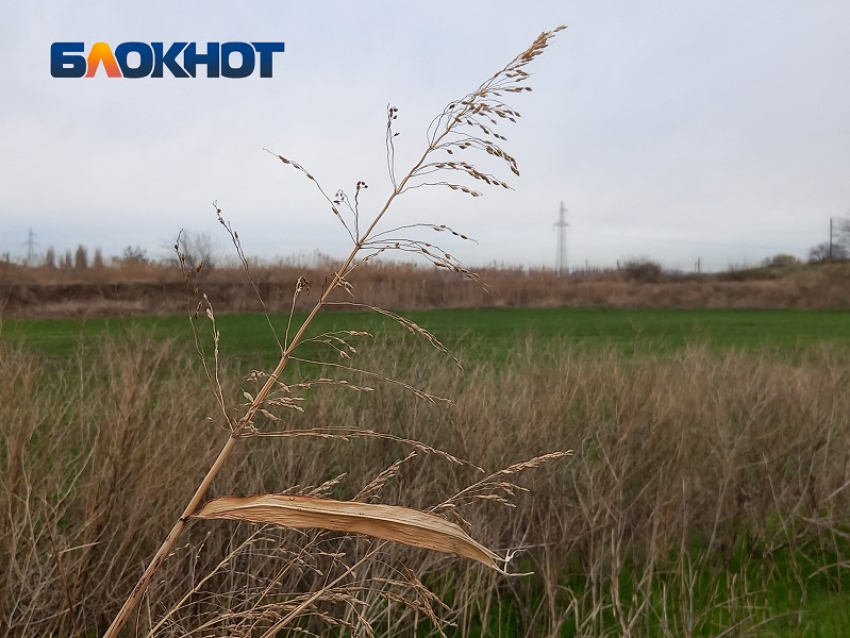 Губернатор отдал 10 га сельхозземель в Краснодаре под утилизацию мусора