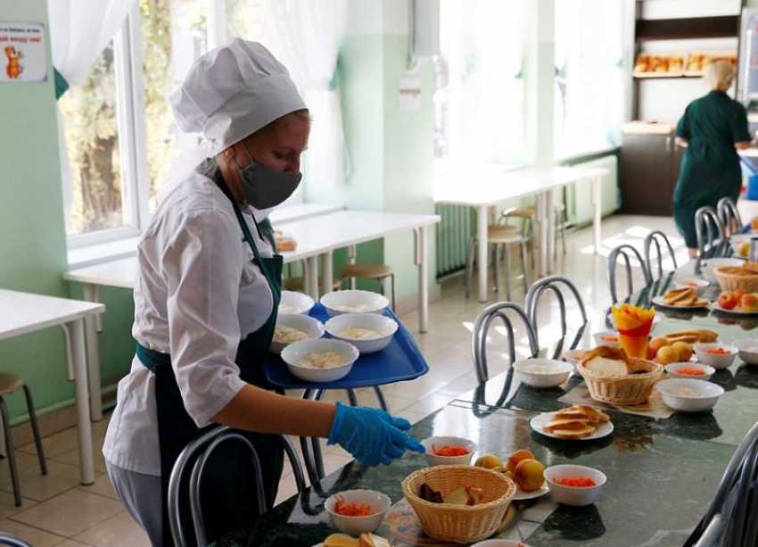 На Кубани будет работать группа по бесплатному горячему питанию в школах
