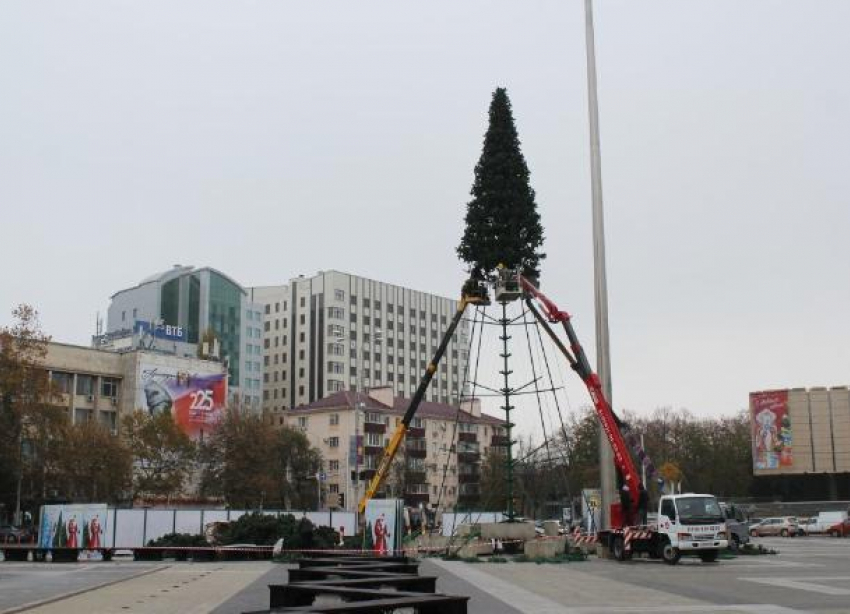 В Краснодаре начали установку главной городской елки 