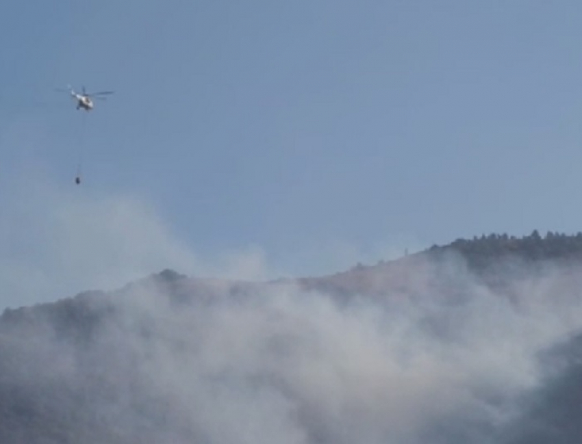 МЧС направило самолёт-амфибию Бе-200 для тушения горящего леса в Геленджике