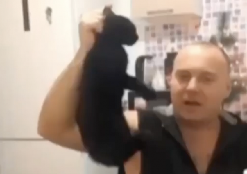 В Краснодаре пьяный десантник пытался зарезать своего кота в прямом эфире
