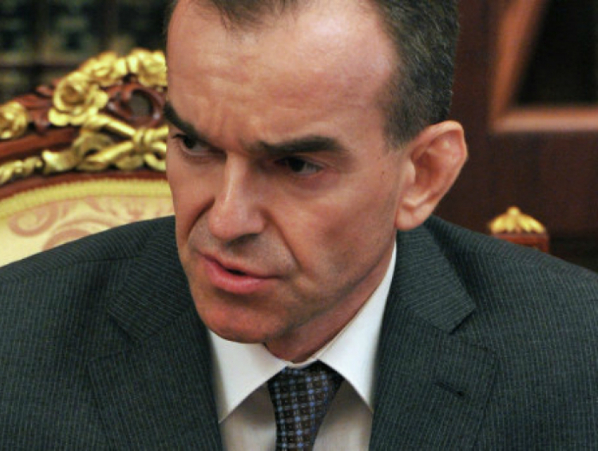 Губернатор Кубани поручил защитить границы края от Ростовской области из-за птичьего гриппа