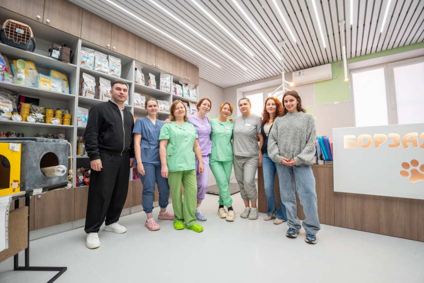 Хирургические инструменты для хвостиков: «НВМ» поддержала приют «Краснодог»