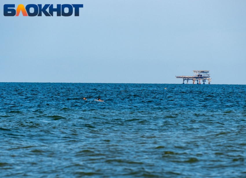 В Краснодарском крае за неделю погибли более 100 дельфинов