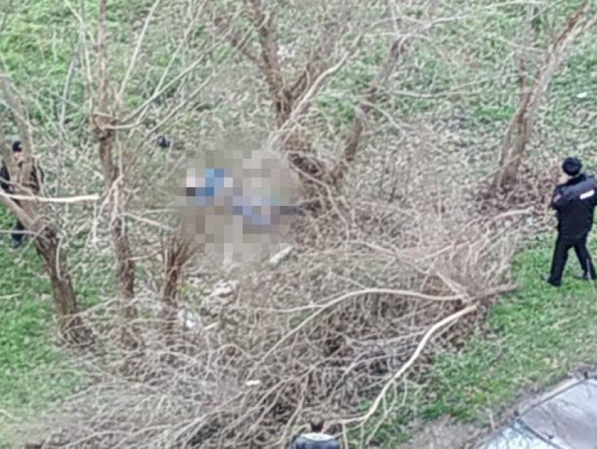 В Краснодаре на улице обнаружили труп мужчины с огнестрельным ранением