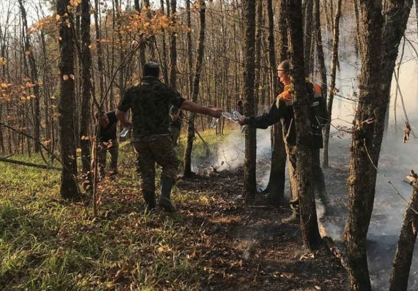На Кубани продолжают бороться с лесными пожарами 
