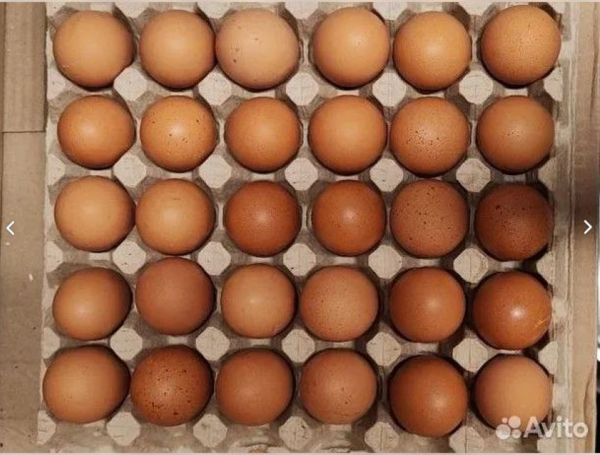 Краснодарцам предложили покупать куриные яйца поштучно 