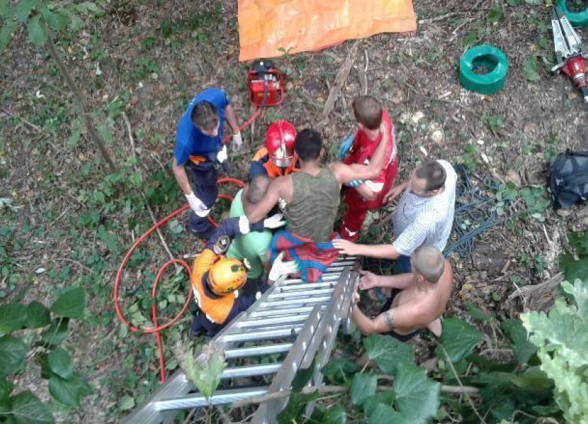 Мужчине спиленным деревом придавило ногу в Сочи