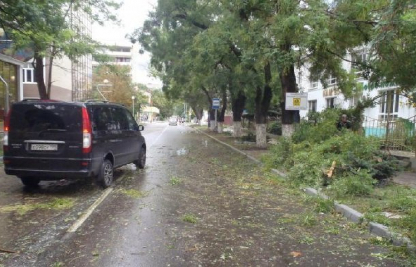  Ночной ураган в Анапе повалял деревья и оставил без света несколько тысяч человек 