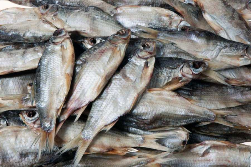 Более 6 тыс. тарани обнаружили у 64-летней пенсионерки на Кубани