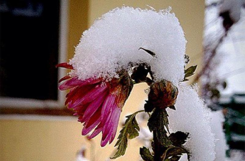 Экстренное предупреждение из-за снегопада объявлено в Краснодарском крае