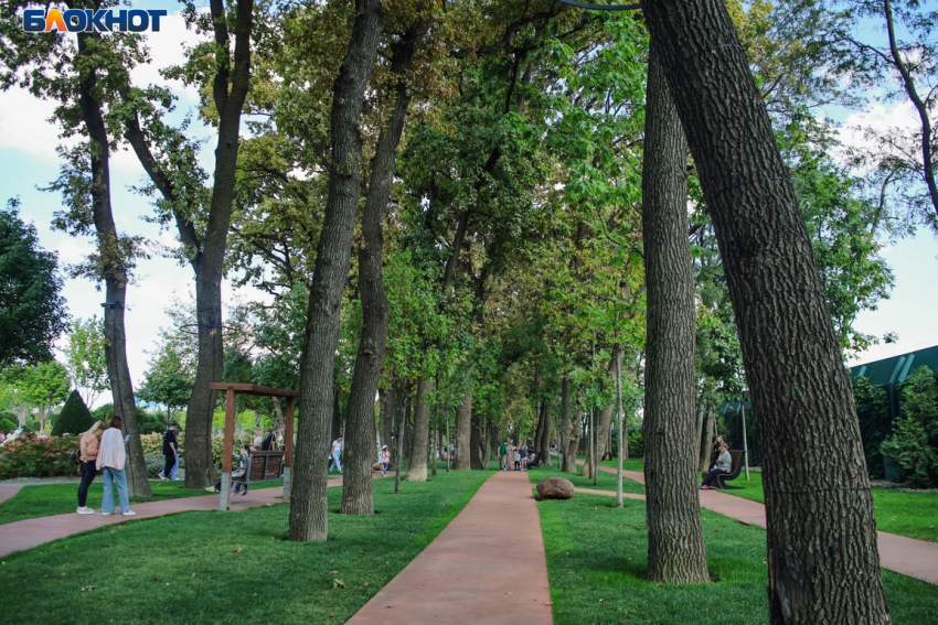 Облачность и прохладу прогнозируют в Краснодаре