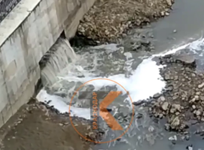 «Там воняет, как в нечищенном 100 лет туалете», – житель Краснодара о сливах в реку Кубань 