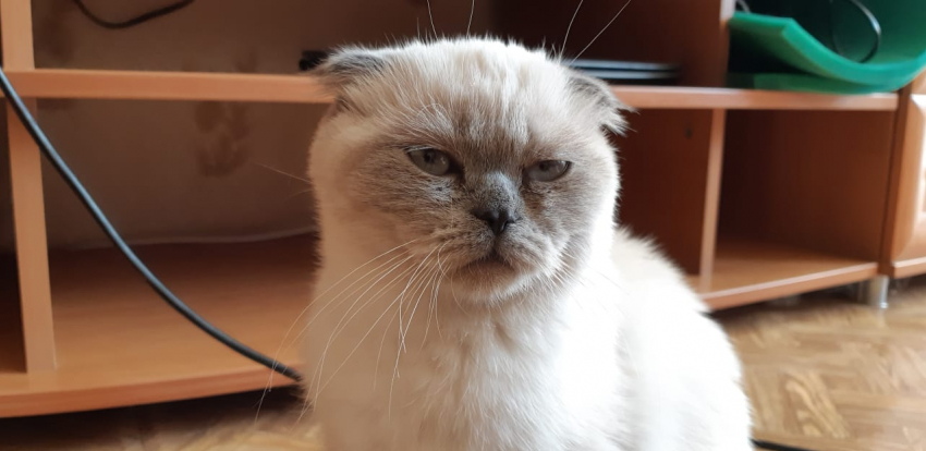 Очень сильные осадки прогнозируют на Кубани 