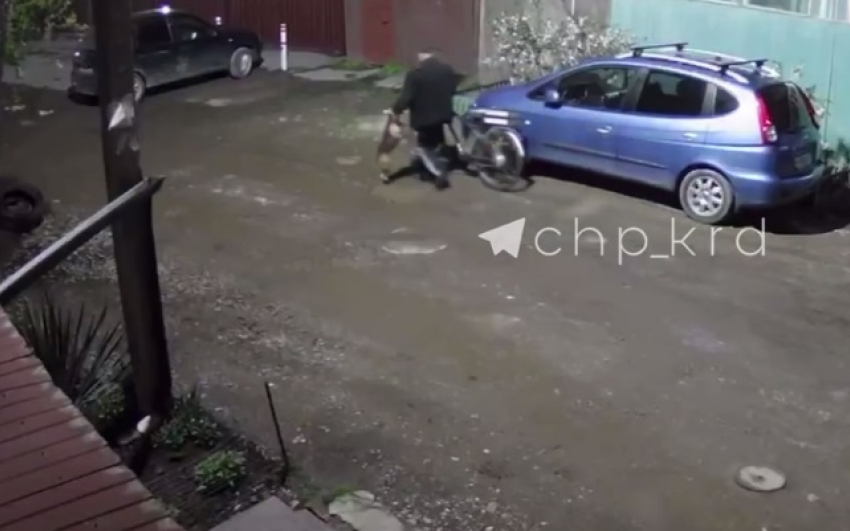 В Краснодаре очередной живодер попал на видео