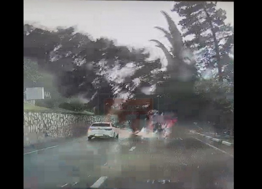 На видео попало рухнувшее на авто дерево во время шторма в Сочи