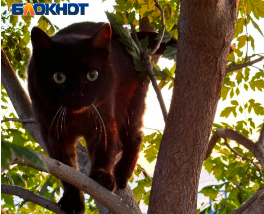 Сильные осадки обрушатся на Краснодарский край