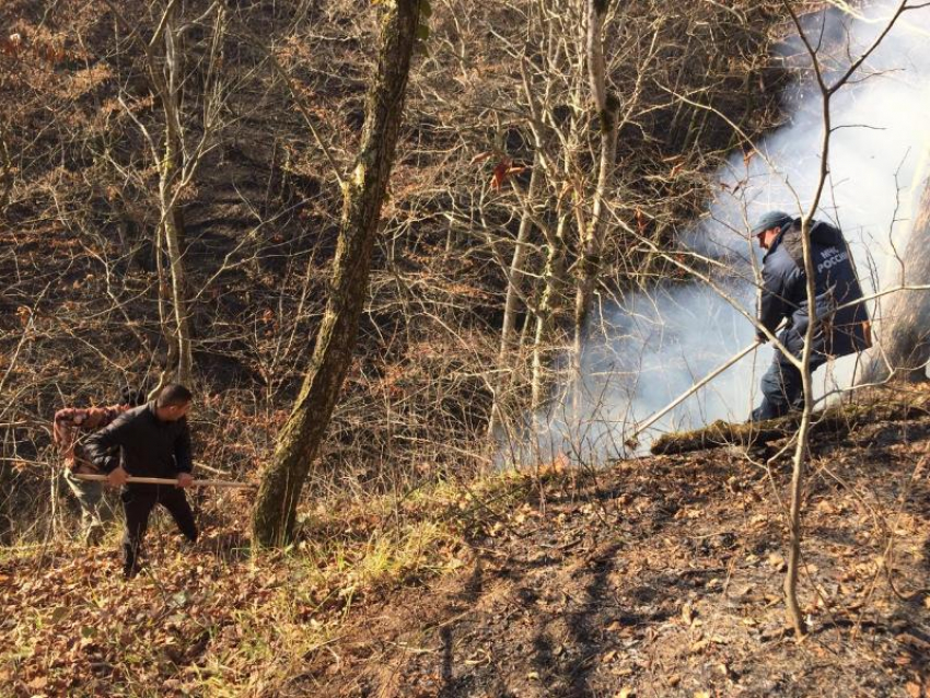 В Краснодарском крае уже неделю горят леса 